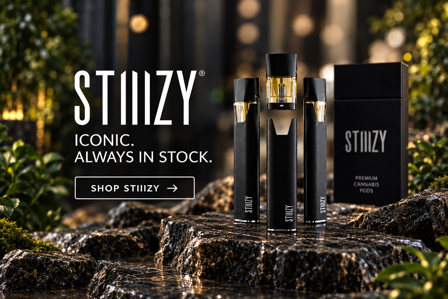 Shop STIIIZY at Spliff Nation Dispensary New York
