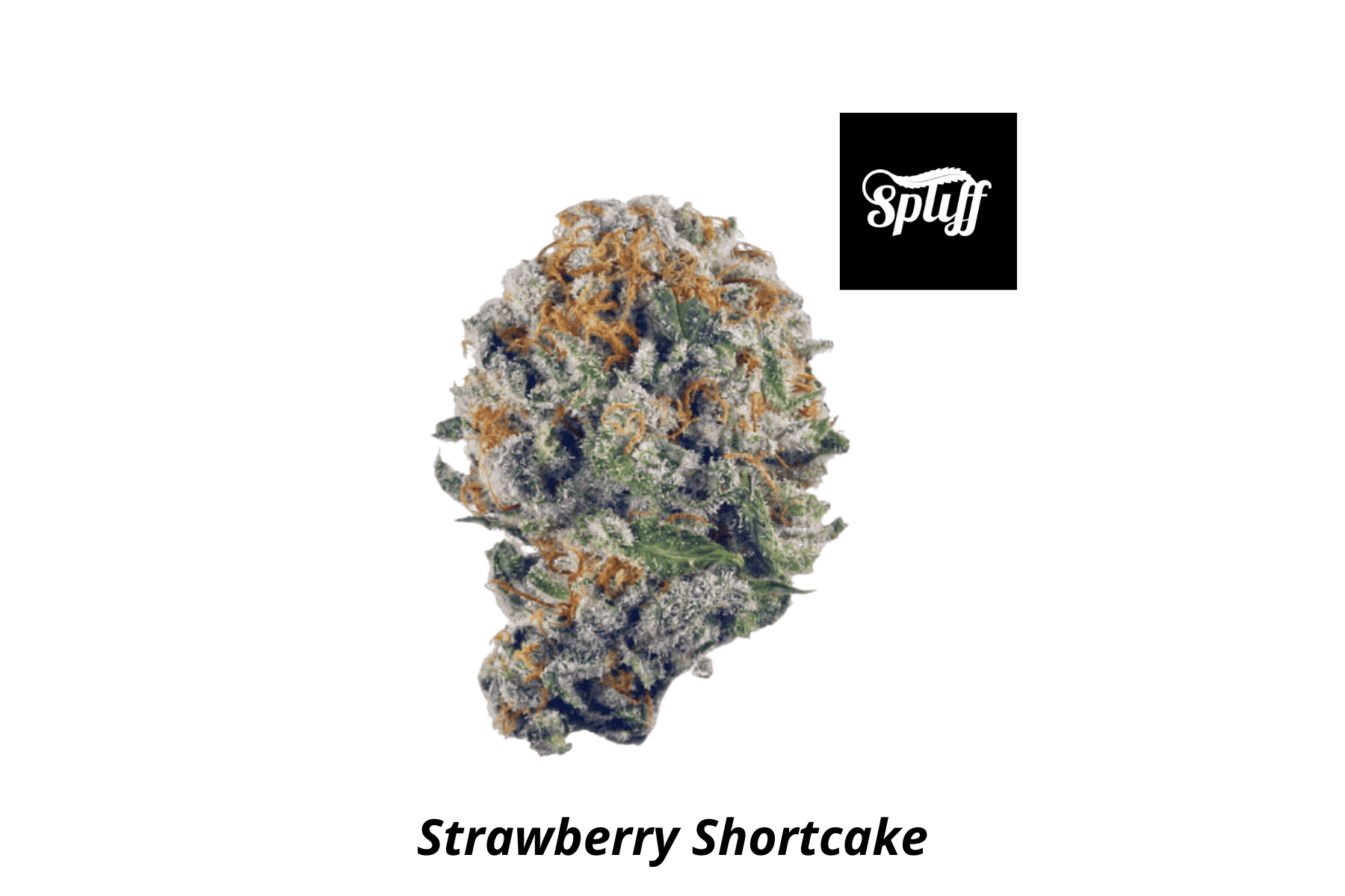 Strawberry Shortcake Cannabis Strain High-quality Strawberry Shortcake cannabis bud for dispensary sales.