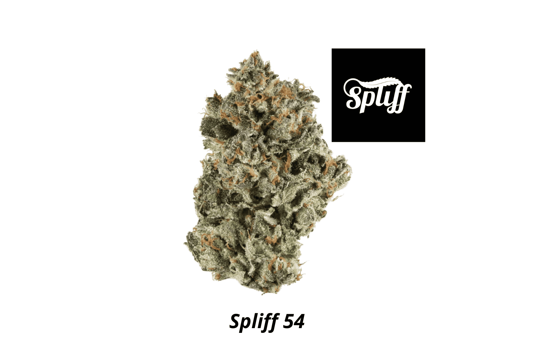 Spliff Dispensary in New York City, NY