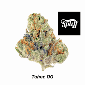 Close-up of Tahoe OG cannabis bud at Spliff Nation Dispensary.