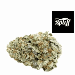 High-quality cannabis flower for sale at Spliff Nation Dispensary in NYC.