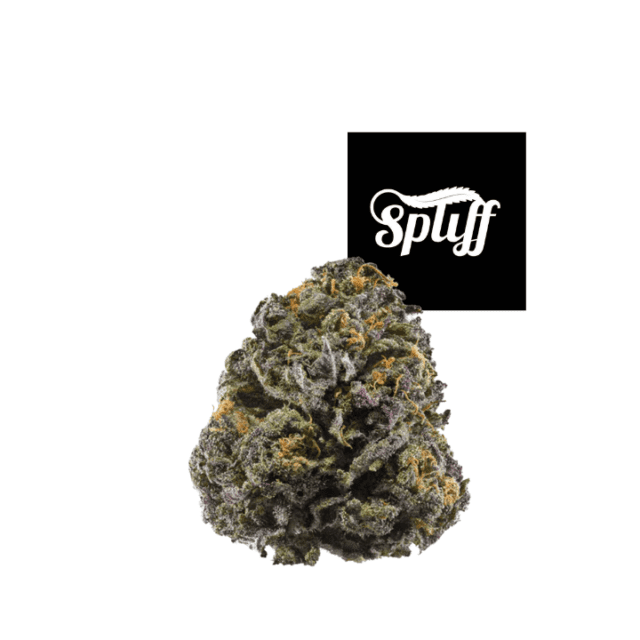 Cereal Milk Blunt (Cookies) • Spliff Nation New York