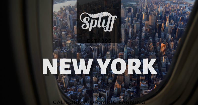 Spliff Brooklyn Dispensary https://nyc.onespliffnation.com/wp-content/uploads/2022/07/NY-Promo-640x340.png