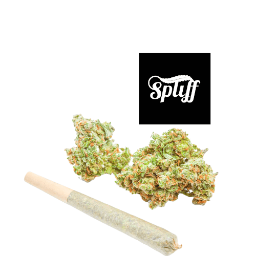 Spliff Nation Dispensary Cannabis and Pre-Roll Cannabis buds and pre-roll at Spliff Nation Dispensary, New York City, NY