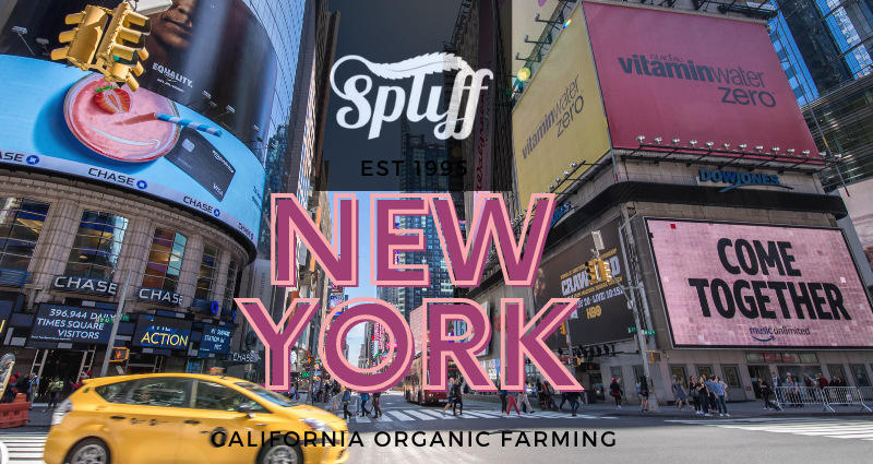 Spliff Nation Dispensary in Times Square Spliff Nation Dispensary in Times Square