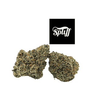 Premium cannabis buds at Spliff Nation dispensary in New York City, NY