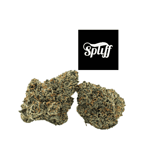 Cannabis Buds at Dispensary Premium cannabis buds at Spliff Nation dispensary in New York City, NY