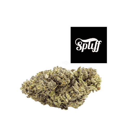 High-quality cannabis flower for sale at Spliff Nation Dispensary.