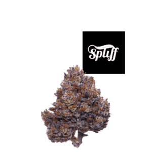 Premium cannabis bud at Spliff Nation Dispensary in New York City, NY
