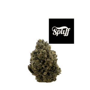 Premium cannabis bud at Spliff Nation Dispensary in New York City, NY