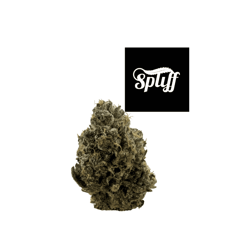 Premium cannabis bud at Spliff Nation Dispensary in New York City, NY