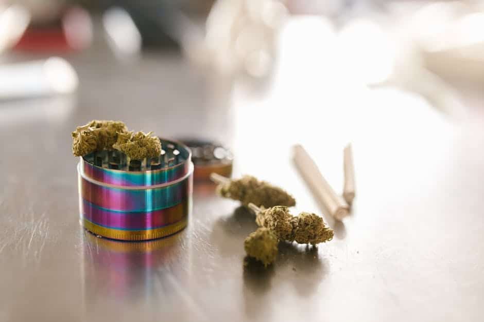 The Ultimate Guide to Navigating Your First Visit to a Cannabis Dispensary