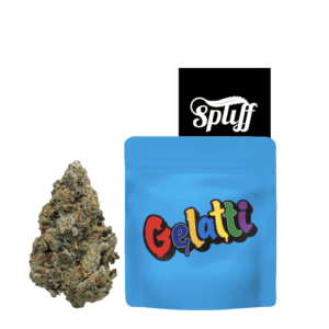 Gelatti cannabis flower with dispensary packaging at Spliff Nation.