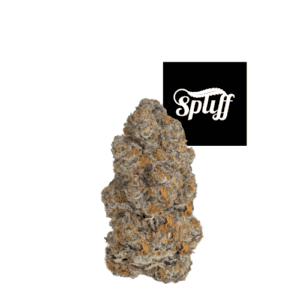 Premium cannabis bud from Spliff Nation Dispensary in NYC.