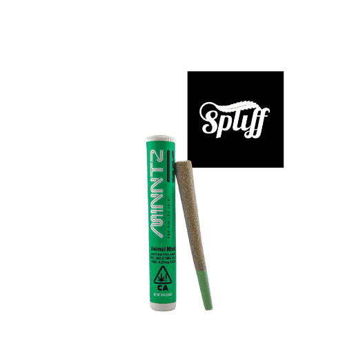 Spliff Nation Dispensary Lip Balm Cannabis-infused lip balm from Spliff Nation Dispensary, natural and soothing.