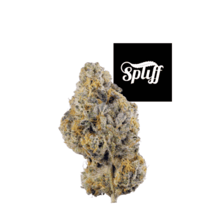 High-quality cannabis bud at Spliff Nation Dispensary, NYC.