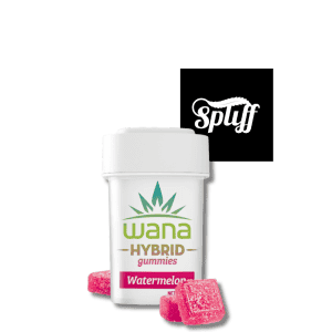 Wana Blueberry Cannabis-Infused Gummies for Dispensary.
