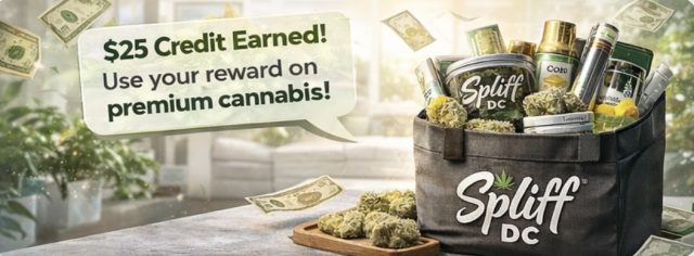 Refer & Earn | Spliff Nation Dispensary | New York City, NY image2 2 | Spliff Nation Dispensary in New York City, NY