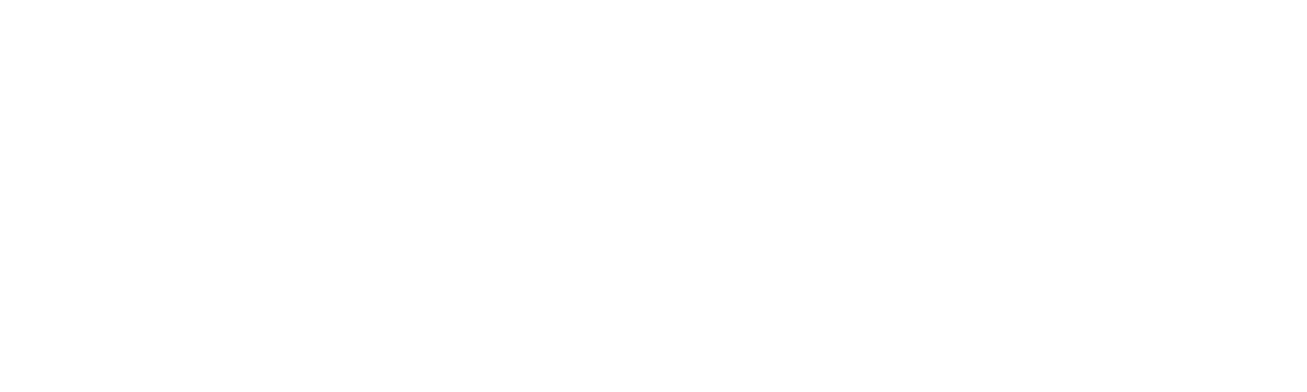Spliff Nation New York City