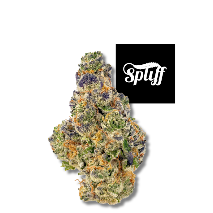 Gumbo — Premium Hybrid Flower Gumbo hybrid cannabis flower at Spliff Nation Dispensary.