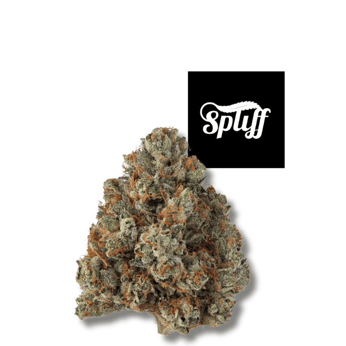 Khalifa Kush - Premium Indica Flower High-quality Khalifa Kush indica flower at Spliff Nation Dispensary.