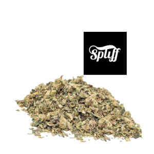 Blue Dream Shake hybrid cannabis flower at Spliff Nation Dispensary in New York, NY
