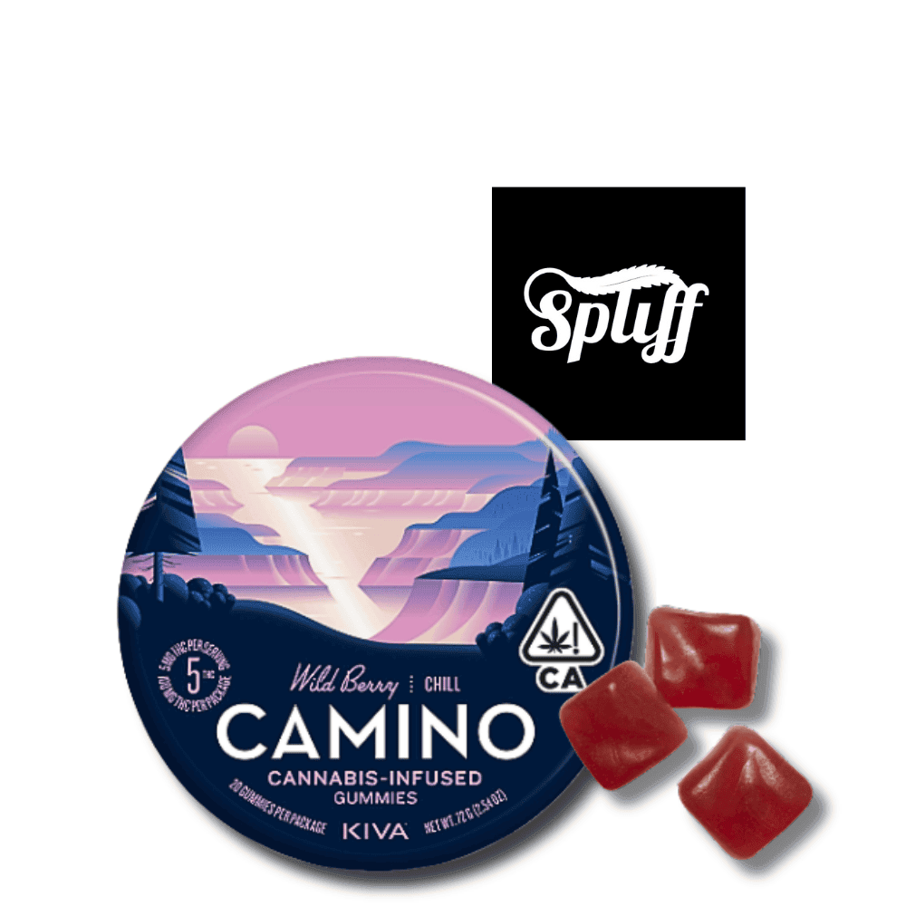 Kiva Camino Chill Wild Berry Gummies Kiva Camino Chill Wild Berry Gummies 100mg THC tin with berry flavored cannabis gummies