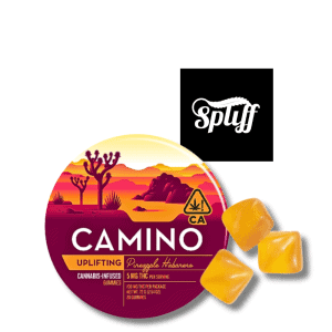 Kiva Camino Uplifting Pineapple Habanero Gummies 100mg THC cannabis gummies with tropical pineapple and mild spice flavor in New York City, NY
