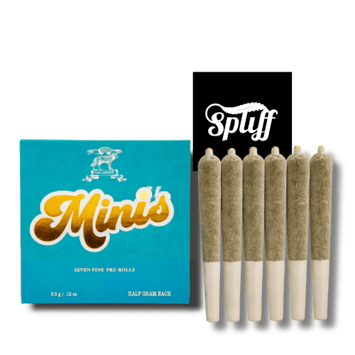 Lobo Minis Lemon Cake Pre-Rolls Lobo Minis Lemon Cake 7 pack pre-rolls with half gram joints totaling 3.5 grams of hybrid cannabis flower