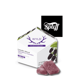 WYLD Marionberry Indica Gummies 100mg THC at Spliff Nation Dispensary New York City, NY