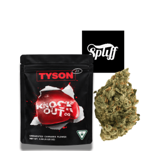 Tyson Knockout OG strain in New York Dispensary